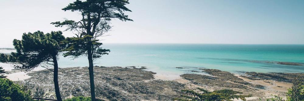 Les Iles Vue Sur Mer Аґон-Кутенвіль Екстер'єр фото